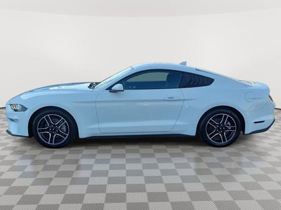 2022 Ford Mustang EcoBoost